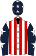 White and red stripes, dark blue sleeves, white stars and cap