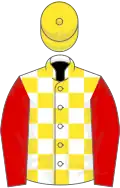 White and yellow checked, red sleeves, yellow cap