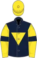 Dark blue, yellow inverted triangle, yellow sleeves, dark blue armlets, yellow cap