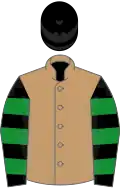 Tan, black and green hooped sleeves, black cap