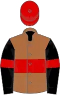 Light tan, red hoop, black sleeves, red hoop, red cap