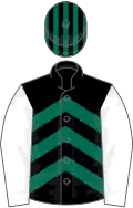 Black, green chevrons, white sleeves, black and dark green striped cap