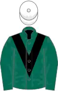 Dark green, black chevron, white cap