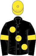 Black, large yellow spots, yellow armlets and cap