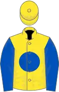 Yellow, royal blue disc and sleeves, yellow cap