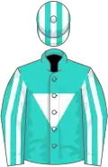 Turquoise, white inverted triangle, striped sleeves and cap