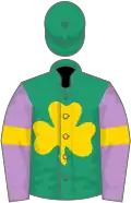 Emerald green, gold shamrock, mauve sleeves, gold armlet, emerald green cap