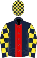Dark blue, red panel, dark blue and yellow check sleeves, dark blue and yellow check cap