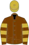 Chocolate, old gold hooped sleeves, old gold cap