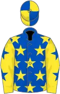 Royal blue, yellow stars, yellow sleeves, royal blue stars, royal blue and yellow quartered cap