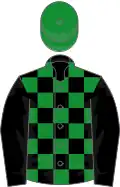 Black and green checked, black sleeves, green cap