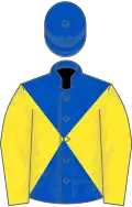 Royal blue and yellow diabolo, yellow sleeves, royal blue cap