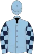 Light blue, dark blue checked sleeves