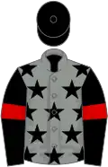 Grey, black stars, black sleeves, red armlets, black cap