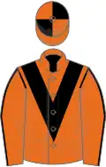 Orange, black chevron, seams on sleeves, quartered cap