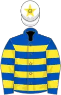 Royal blue and yellow hoops, white cap, yellow star