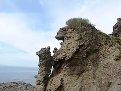 Parent-child bear rock