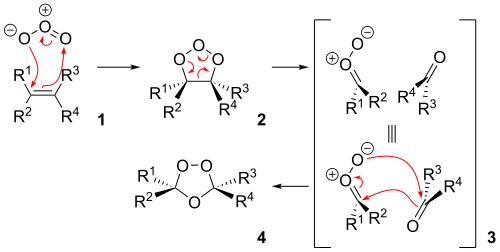 The reaction mechanism of ozonolysis.