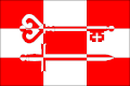 Flag of Předotice