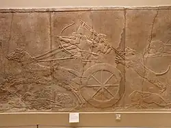 Relief of Ashurbanipal hunting a Mesopotamian lion,[22] from the Northern Palace in Nineveh, as seen at the British Museum