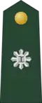 Major (Philippine Army)[70]