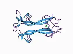 1b98: NEUROTROPHIN 4 (HOMODIMER)