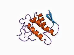 1bbc: Structure of recombinant human rheumatoid arthritic synovial fluid phospholipase A2 AT 2.2 Angstroms resolution