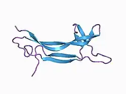 1bet: NEW PROTEIN FOLD REVEALED BY A 2.3 ANGSTROM RESOLUTION CRYSTAL STRUCTURE OF NERVE GROWTH FACTOR