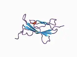 1bj8: THIRD N-TERMINAL DOMAIN OF GP130, NMR, MINIMIZED AVERAGE STRUCTURE