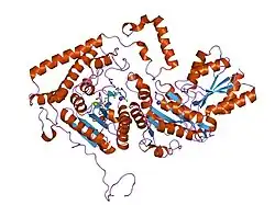 1dtw: HUMAN BRANCHED-CHAIN ALPHA-KETO ACID DEHYDROGENASE