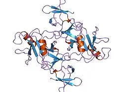 1gri: GRB2