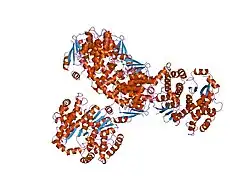 1gum: HUMAN GLUTATHIONE TRANSFERASE A4-4 WITHOUT LIGANDS