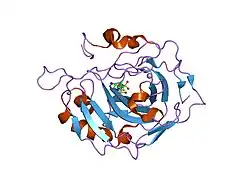 1i90: CARBONIC ANHYDRASE II COMPLEXED WITH AL-8520 2H-THIENO[3,2-E]-1,2-THIAZINE-6-SULFONAMIDE, 4-AMINO-3,4-DIHYDRO-2-(3-METHOXYPROPYL)-, 1,1-DIOXIDE, (R)