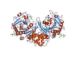 1ivy: PHYSIOLOGICAL DIMER HPP PRECURSOR