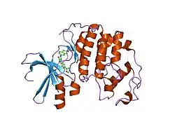 1ke7: CYCLIN-DEPENDENT KINASE 2 (CDK2) COMPLEXED WITH 3-{[(2,2-DIOXIDO-1,3-DIHYDRO-2-BENZOTHIEN-5-YL)AMINO]METHYLENE}-5-(1,3-OXAZOL-5-YL)-1,3-DIHYDRO-2H-INDOL-2-ONE