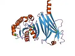 1ksh: Complex of Arl2 and PDE delta, Crystal Form 2 (native)