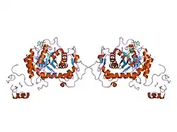 1nfb: Ternary complex of the human type II Inosine Monophosphate Dedhydrogenase with 6Cl-IMP and NAD