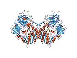 1rwq: Human Dipeptidyl peptidase IV in complex with 5-aminomethyl-6-(2,4-dichloro-phenyl)-2-(3,5-dimethoxy-phenyl)-pyrimidin-4-ylamine