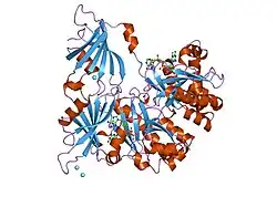 1st4: Structure of DcpS bound to m7GpppA