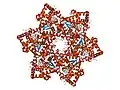SV40 large T antigen