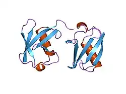 1tbe: STRUCTURE OF TETRAUBIQUITIN SHOWS HOW MULTIUBIQUITIN CHAINS CAN BE FORMED