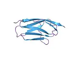 1tit: TITIN, IG REPEAT 27, NMR, MINIMIZED AVERAGE STRUCTURE