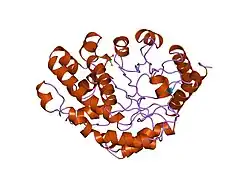 1uro: UROPORPHYRINOGEN DECARBOXYLASE