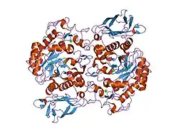 1xv8: Crystal Structure of Human Salivary Alpha-Amylase Dimer