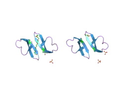 1zmh: Crystal structure of human neutrophil peptide 2, HNP-2 (variant Gly16-> D-Ala)