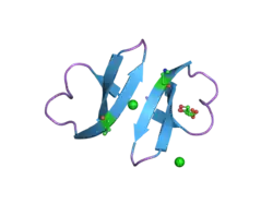 1zmk: Crystal structure of human alpha-defensin-2 (variant Gly16-> D-ALA), P 42 21 2 space group