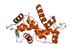 1zuz: Calmodulin in complex with a mutant peptide from human DRP-1 kinase
