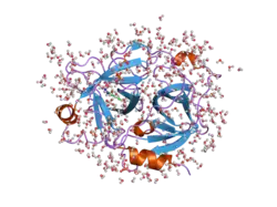 2any: Expression, Crystallization and the Three-dimensional Structure of the Catalytic Domain of Human Plasma Kallikrein: Implications for Structure-Based Design of Protease Inhibitors