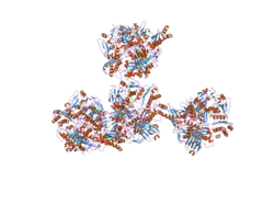 2ckj: HUMAN MILK XANTHINE OXIDOREDUCTASE
