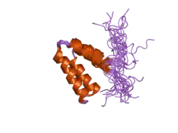 2cr7: Solution structure of the first PAH domain of the mouse transcriptional repressor SIN3B